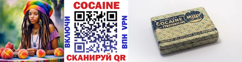 Cocaine FishScale  Купить закладки  Невельск 