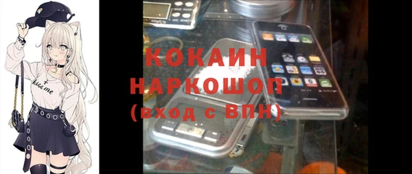 гидропоника Горнозаводск