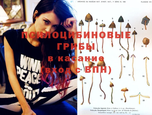 амф Вязники