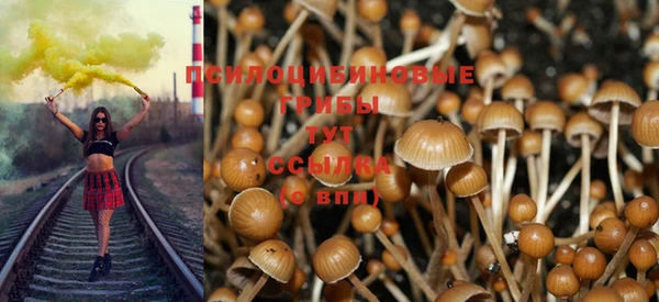 гидропоника Горнозаводск