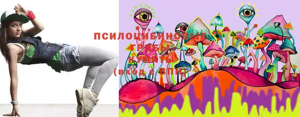 гидропоника Горнозаводск