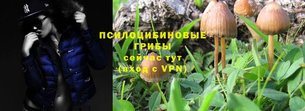 гидропоника Горнозаводск
